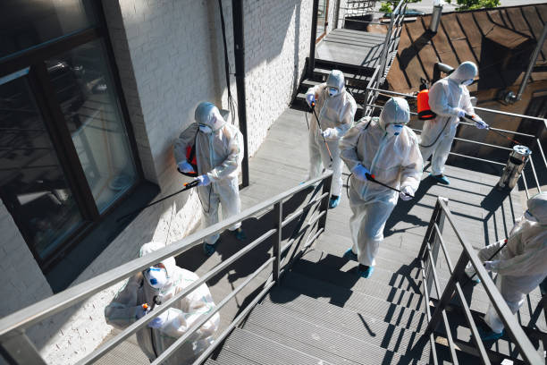 Best Mold Damage Restoration  in Craig, CO