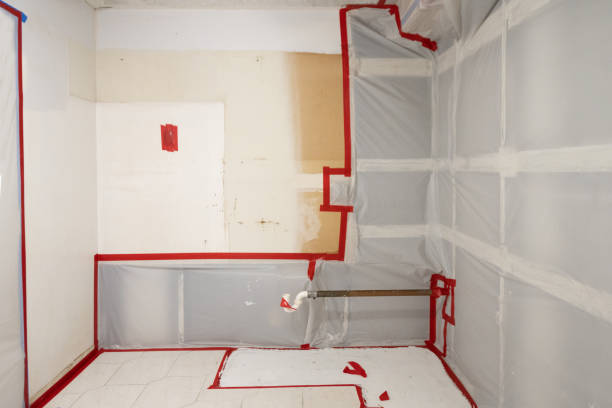 Best Real Estate Mold Inspection  in Craig, CO