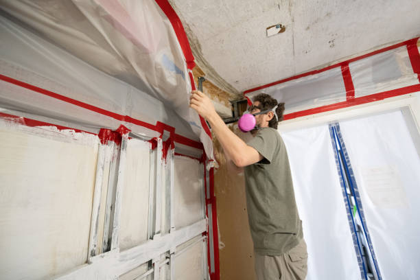 Best Commercial Mold Inspection  in Craig, CO