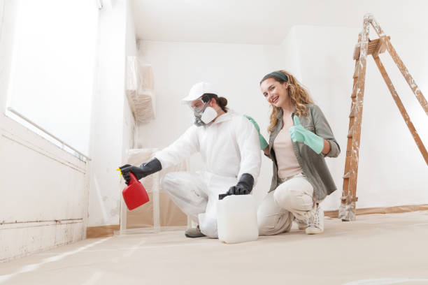 Mold Removal for HVAC Installations in Craig, CO
